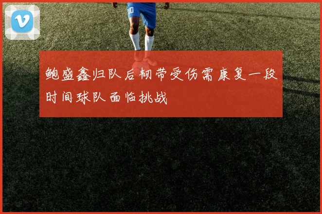 鲍盛鑫归队后韧带受伤需康复一段时间球队面临挑战